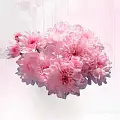 Хризантемы Хризантемы